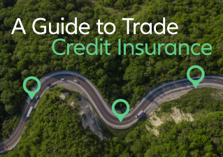 A Guide to Trade Credit Insurance eBook Thumbnail