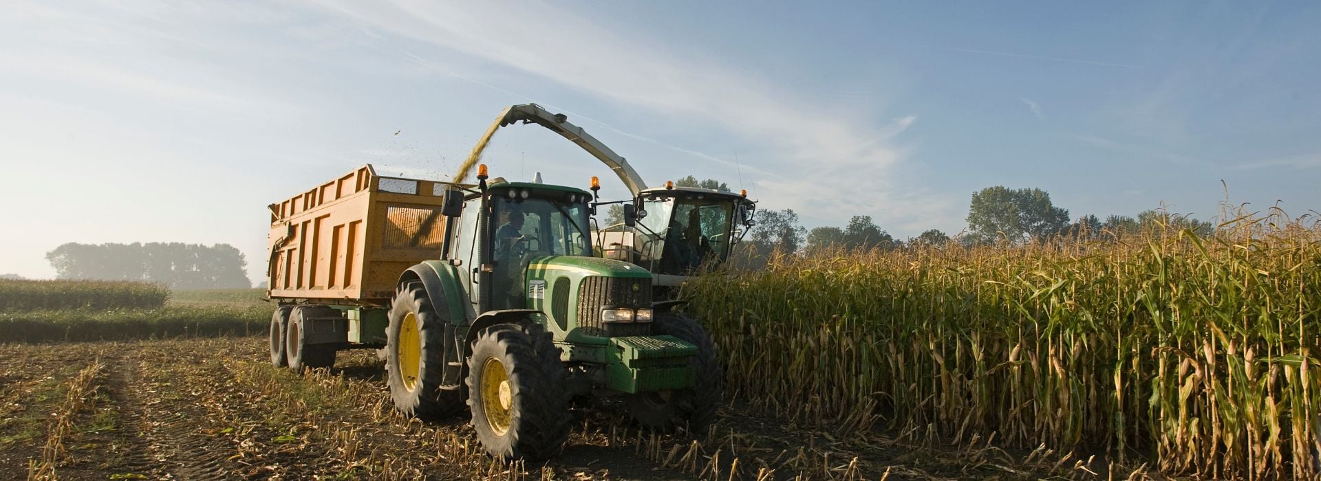 Macchinari agricoli raccolgono mais in un campo durante condizioni di caldo estremo