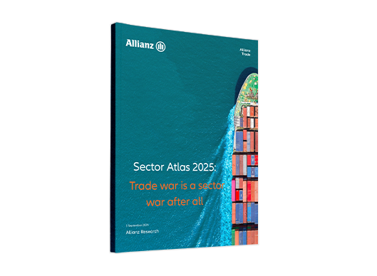 sector atlas 2025 report cover