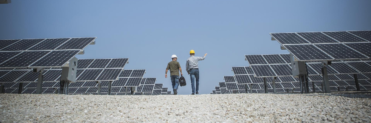 two-engineers-walking-through-solar-panels-hero