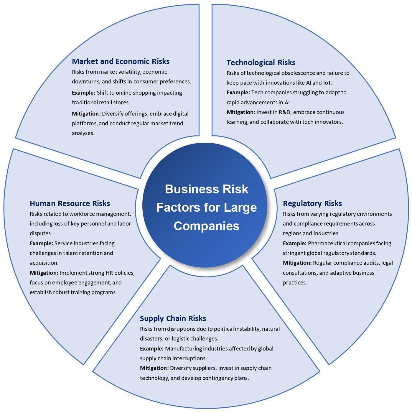 business risk factors for large companies