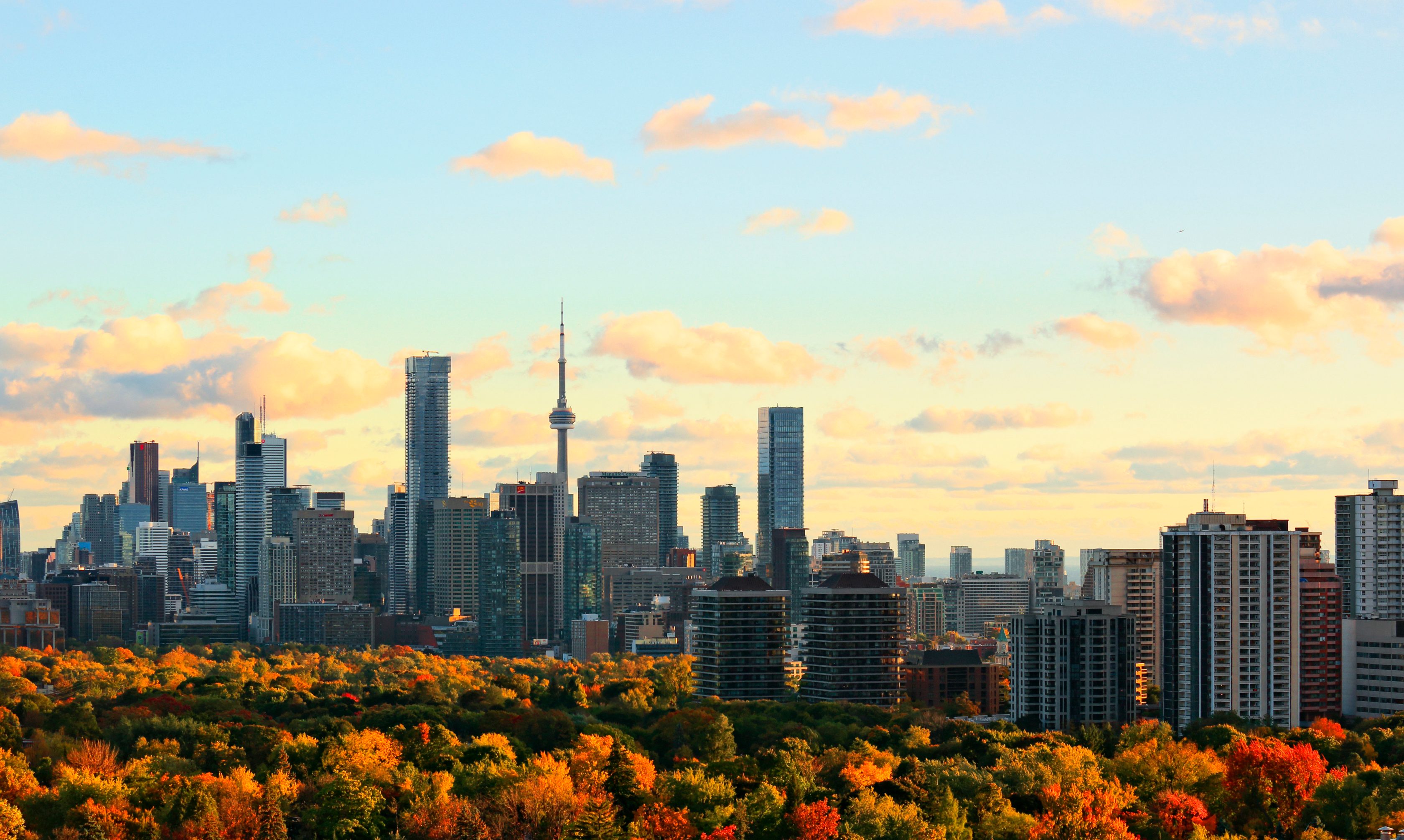 City skyline
