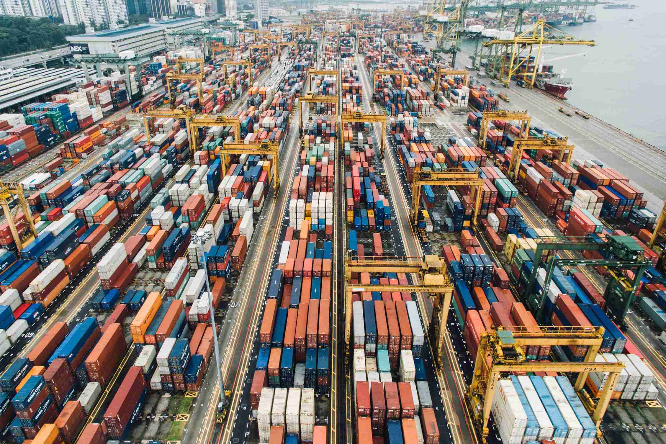 2019 Global Business Monitor