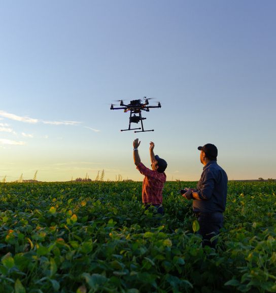 Due uomini in un campo fanno volare un drone