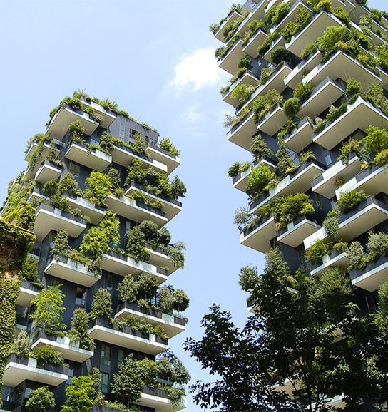Due palazzi con bosco verticale