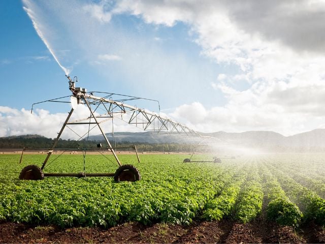 Agrifood Sector in UAE