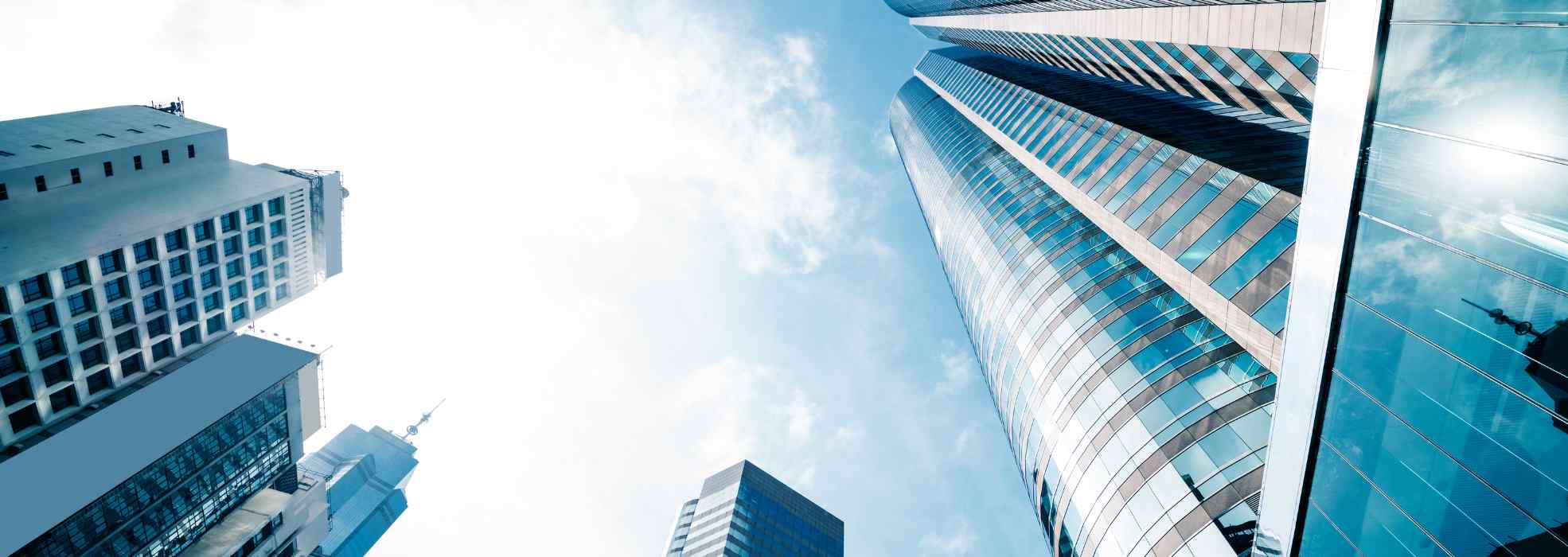 5 strategies for thriving in an era of higher bankruptcies Allianz Trade in Middle East