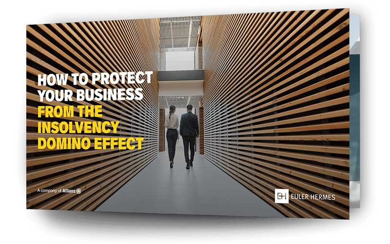 insolvency-domino-effect-ebook-cover