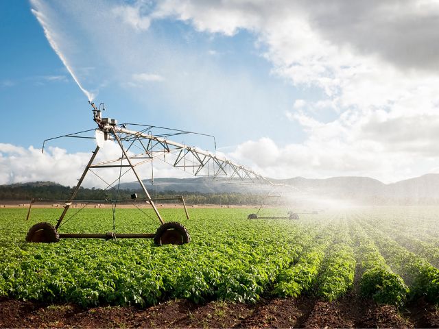 Agrifood Sector in UAE