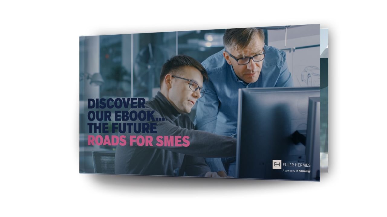 Ebook - The future roads of growth for SMEs