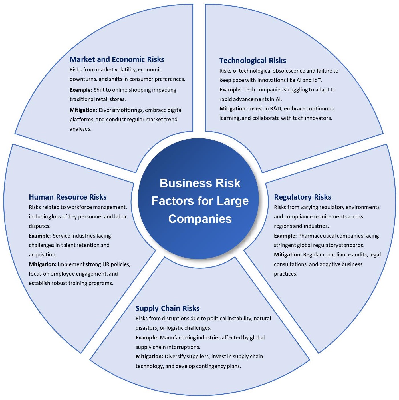 business risk factors for large companies