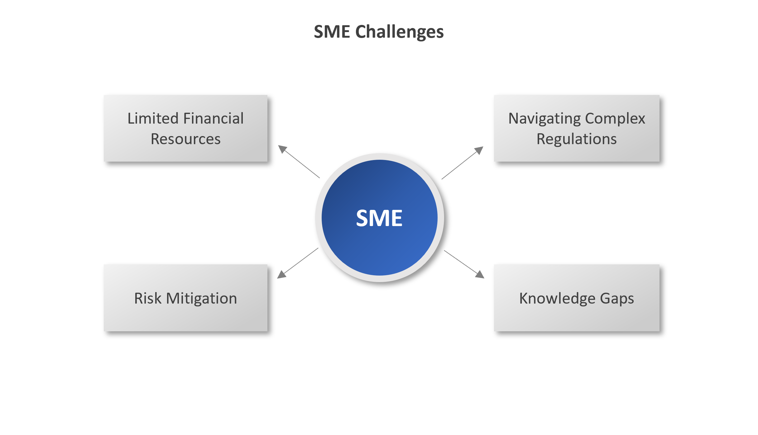 sme challenges