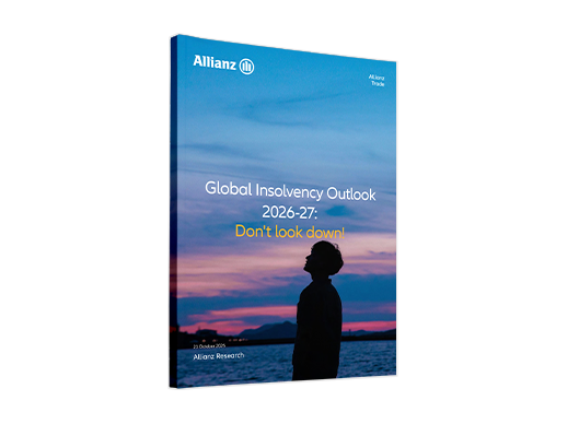 2025 insolvency report cover image