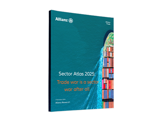 2025 sector atlas report cover