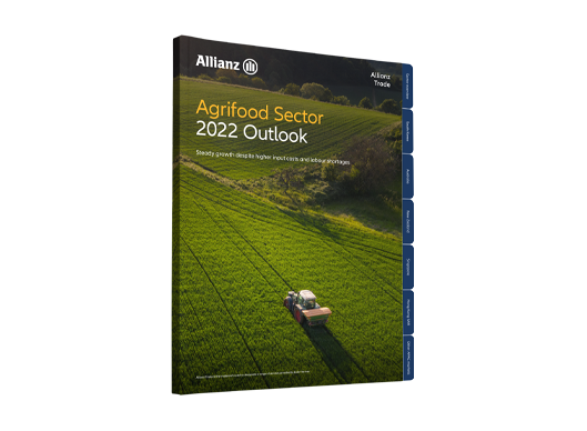 Agrifood outlook 2022 cover
