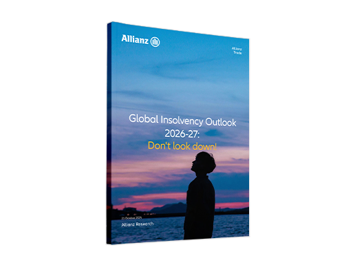 2025 insolvency report cover image