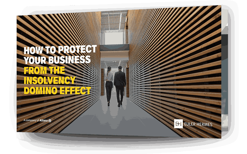 A Guide to Credit Insurance eBook Thumbnail