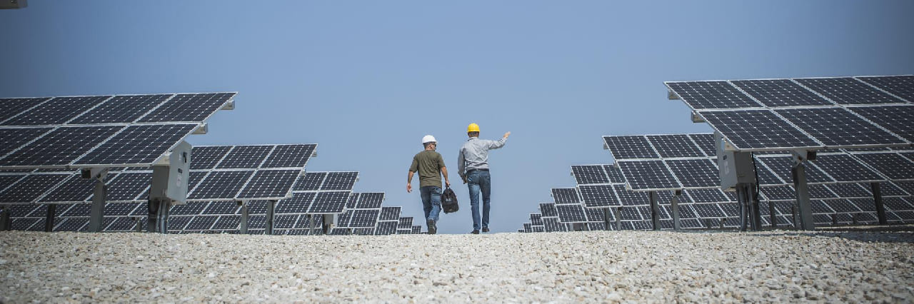 two-engineers-walking-through-solar-panels-hero