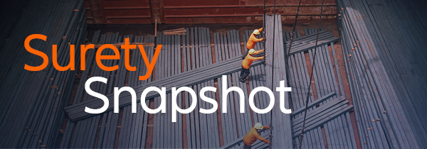 surety snapshot newsletter