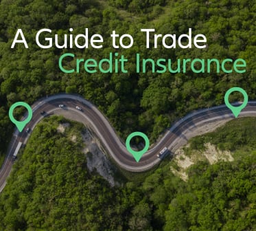 guide to trade credit insurance cover photo