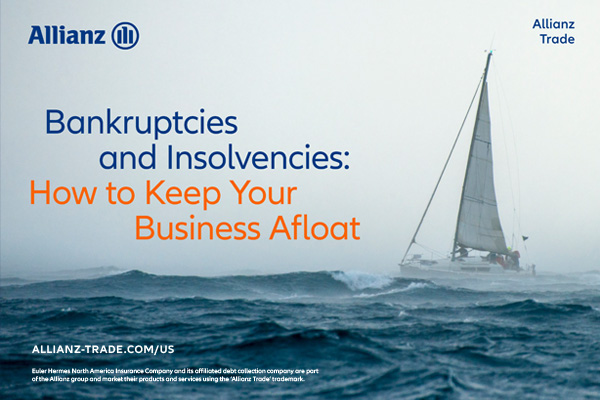 A Surge in Bankruptcies and Insolvencies eBook