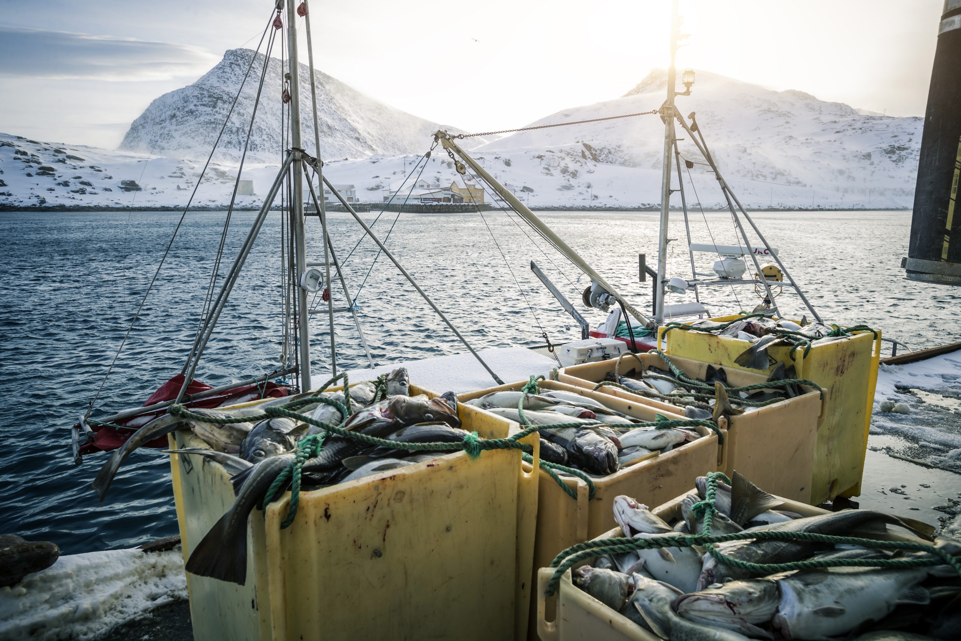 commercial fishing vessel with sea and mountains in background