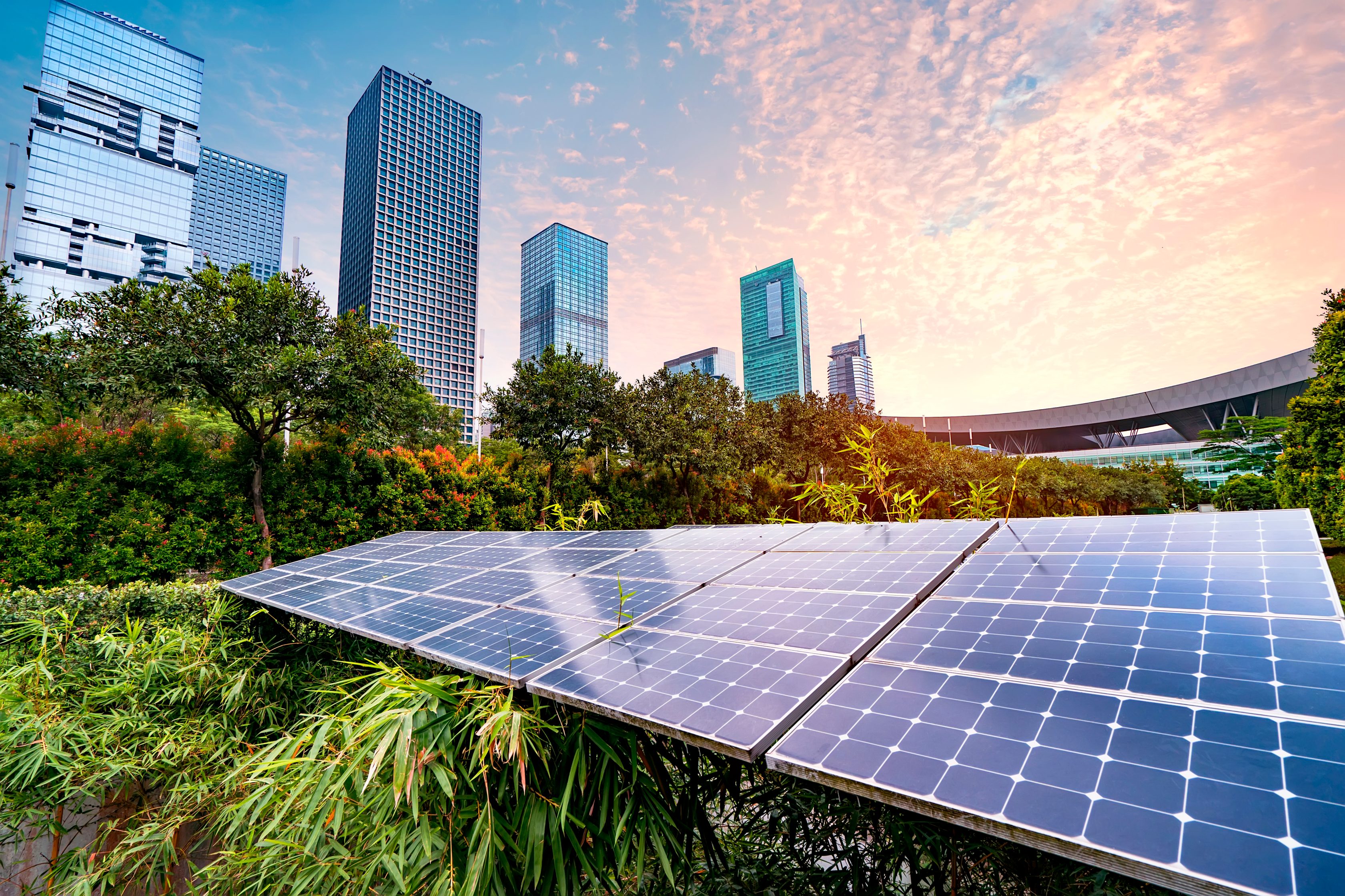 solar panels with city in background