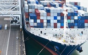 Global trade survey