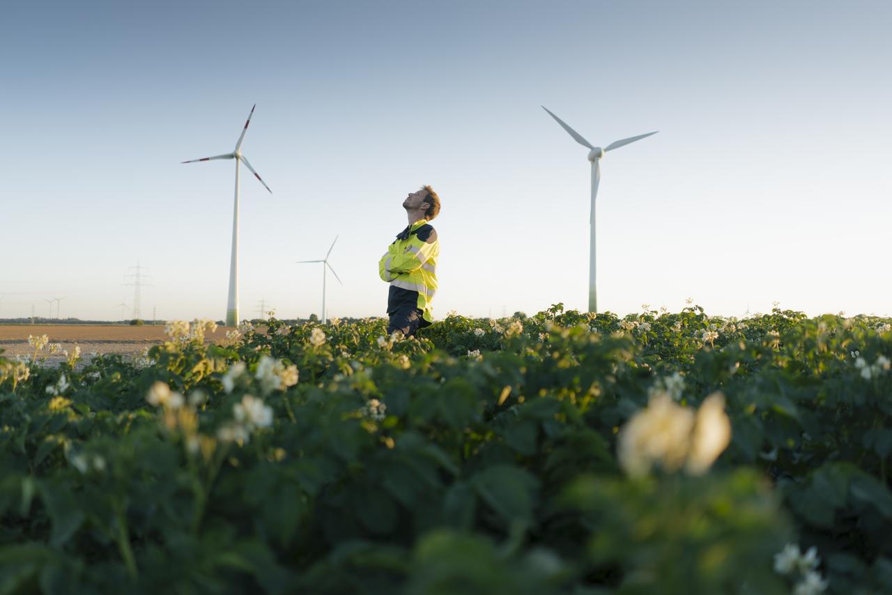 a-person-in-the-fields
