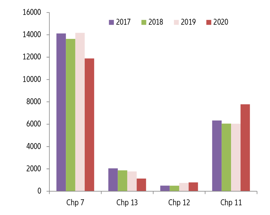 Figure 9: Business insolvencies in the US, by types of proceeding, annual number