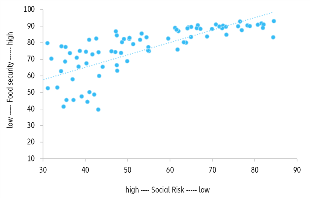 Figure 6: Food security and social risk