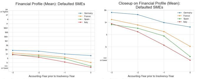 Figure 2: Financial profile: Defaulted SMEs & MidCaps