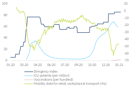 Figure 1 – Vaccine economics (example Germany)