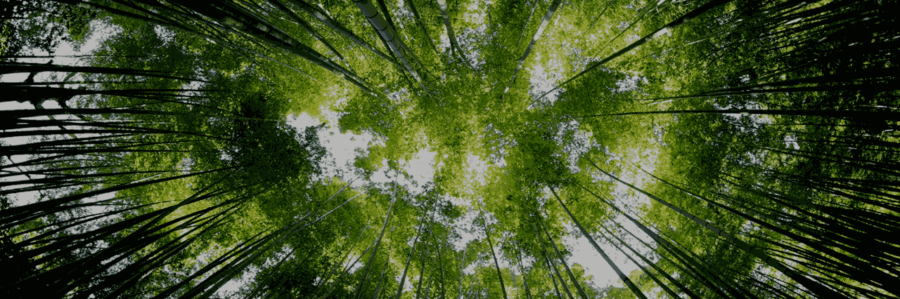 Agriculture and forestry in Europe