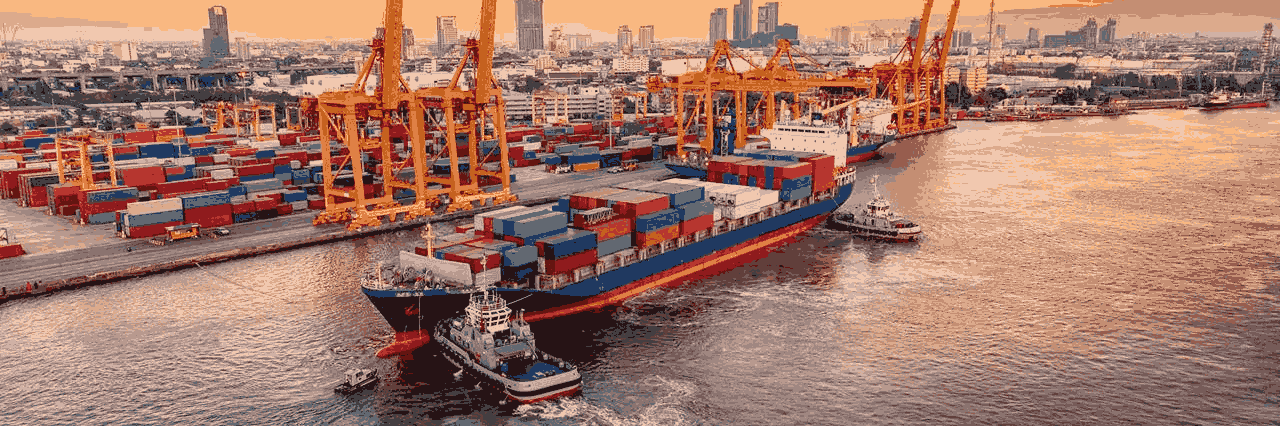 Allianz Trade Global Survey 2022