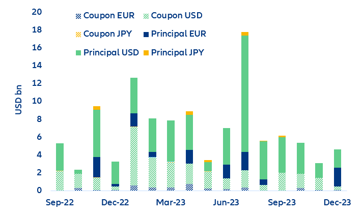 Figure 9. Redemption schedule (coupon and maturity) of foreign-currency-denominated debt for larger EMs