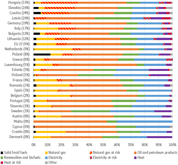 Figure 2: Final consumption of energy at risk