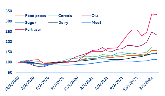 Figure 2: Global food and fertilizer prices (Dec 2019=100)