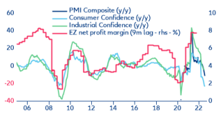 Figure 8: Eurozone net profit margins (y/y)