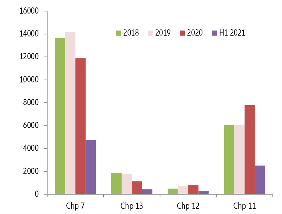 Figure 8: Business insolvencies in the US, by types of proceeding, number of cases