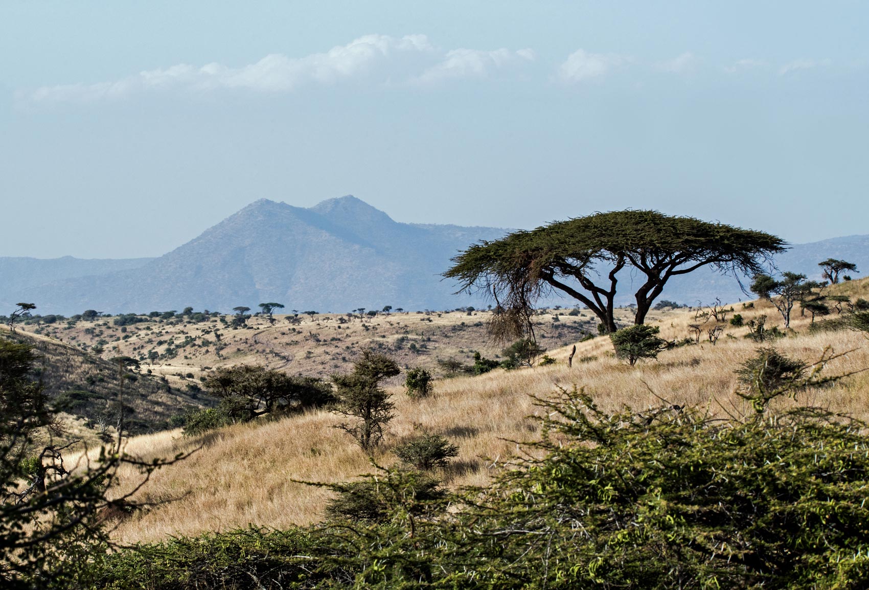 Let Africa enter its Belle Époque: Financing on the A-List 