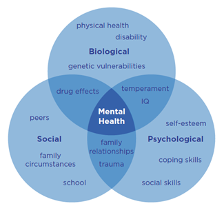 Figure 1: Risk factors and determinants of mental health