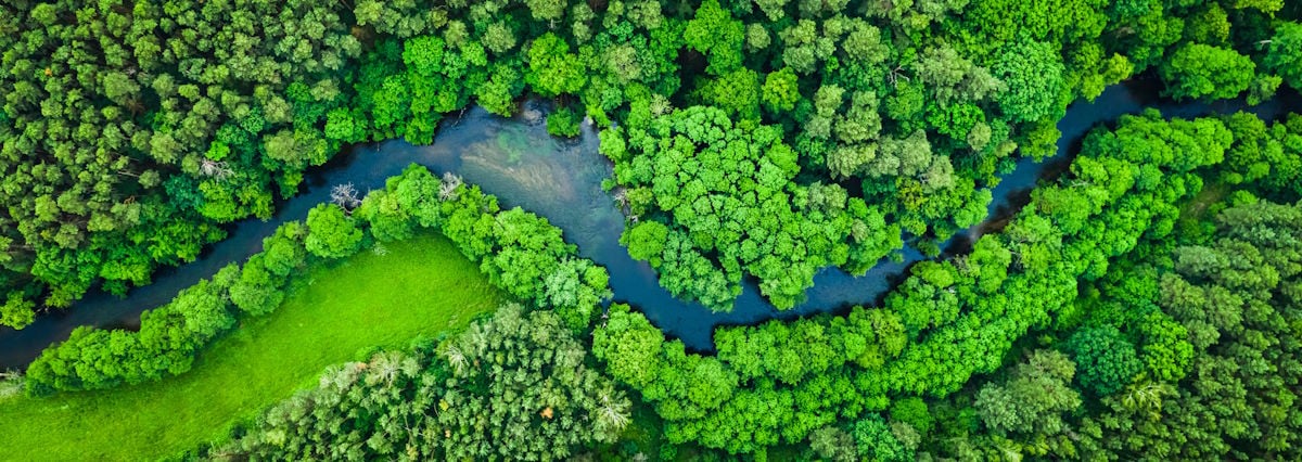 Allianz Trade EcoVadis Gold Medal