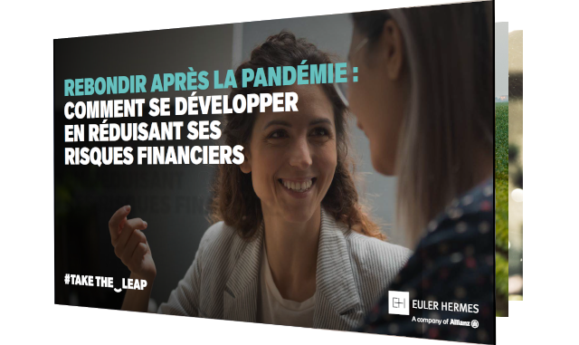 Taking-the-leap-ebook