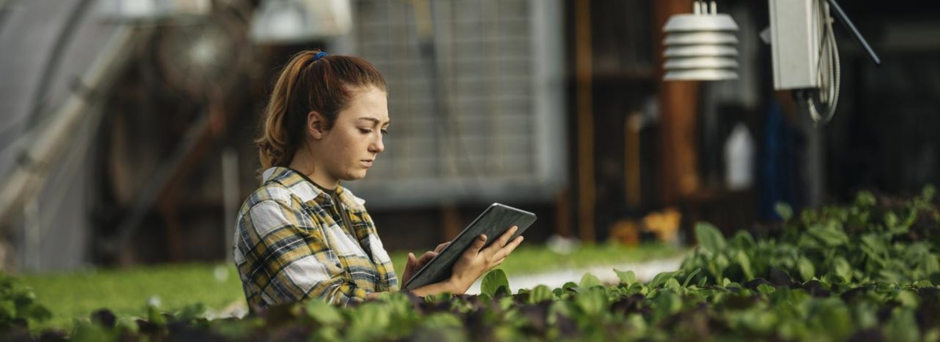 Donna ingegnere ambientale in una serra, mentre controlla i parametri ambientali su un tablet, circondata da piante verdi 