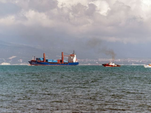 Navi cargo nello Stretto di Hormuz