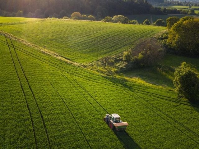 L'ambizione verde della Germania