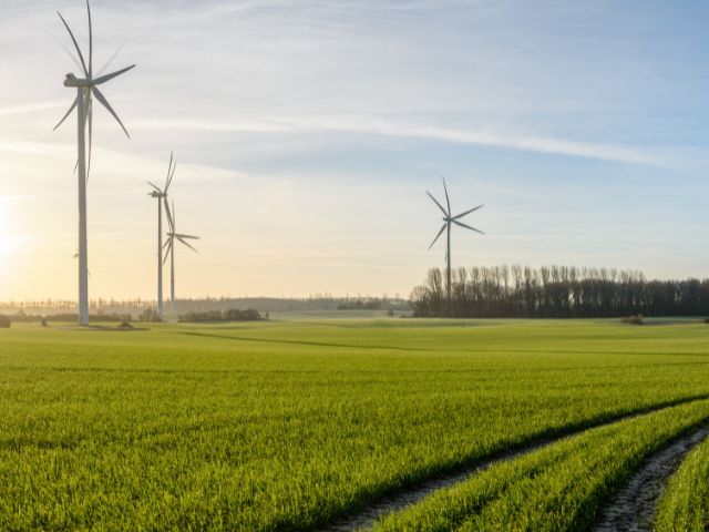 Investimenti in infrastrutture verdi: il settore pubblico non può farlo da solo