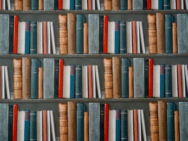 Dipinto di una libreria con scaffali contenenti antichi volumi