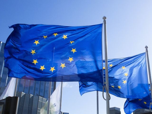 Bandiere dell'Unione Europea